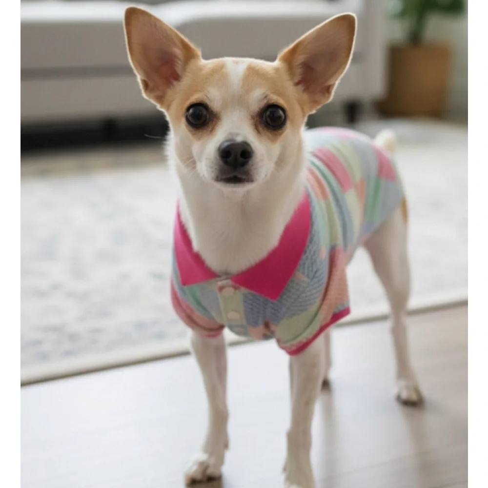 VINEYARD VINES Pet Polo Shirt, Medium